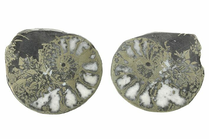 Pyritized Cut Ammonite Fossil Pair - Morocco #276640